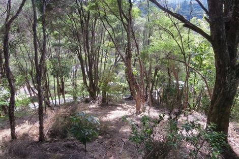 Photo of property in 395a Driving Creek Road, Coromandel, 3506