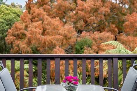 Photo of property in 66 Hooker Avenue, Chedworth, Hamilton, 3210