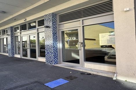 Photo of property in 1/20 Garrett Street, Te Aro, Wellington, 6011