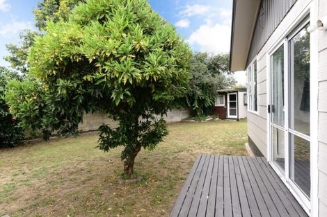 Photo of property in 13 Arthur Place, Chartwell, Hamilton, 3210