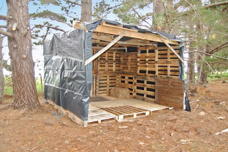 Photo of property in 319 Parekura Road, Kaiwaka, 0573