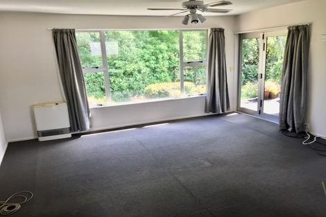 Photo of property in 65 Walters Road, Marshland, Christchurch, 8051