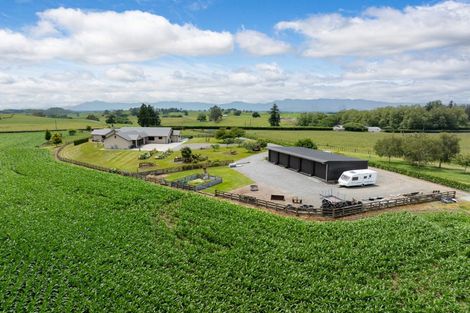 Photo of property in 23 Morgan Road, Matamata, 3472