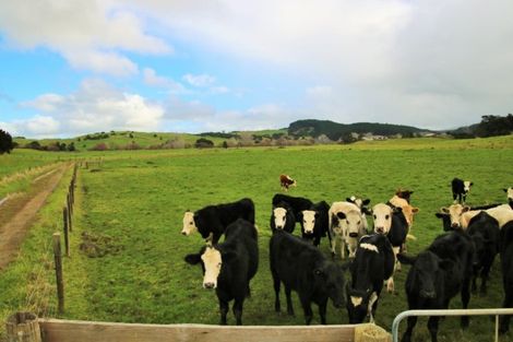 Photo of property in 1008 Tangowahine Valley Road, Tangowahine, Dargaville, 0372