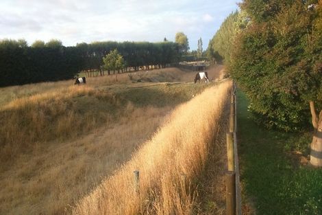 Photo of property in 146 Smithfield Road, Elgin, Ashburton, 7772