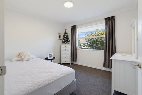 Photo of property in 12 Hamlett Drive, Woodend, 7610