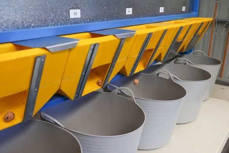 Photo of property in 60 Golden Hills Road, Appleby, Richmond, 7081