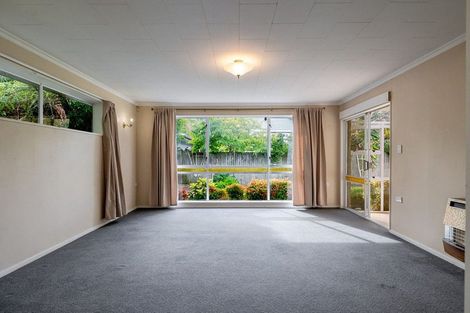 Photo of property in 479a College Street, Hokowhitu, Palmerston North, 4410