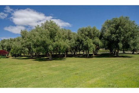 Photo of property in 11 Parkland Drive, Pakaraka, Kaikohe, 0472