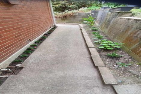 Photo of property in 50 Baldwin Street, North East Valley, Dunedin, 9010