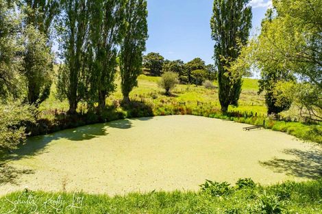 Photo of property in 35 Minnie Casey Rise, Matakohe, 0593