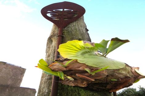 Photo of property in 956 Oneriri Road, Kaiwaka, 0573