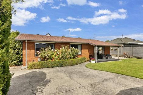 Photo of property in 113b Tancred Street, Linwood, Christchurch, 8062