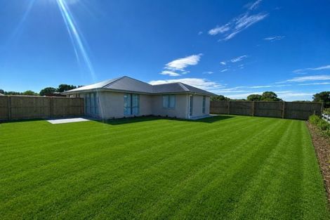 Photo of property in 8 Ranby Place, Woodend, 7610