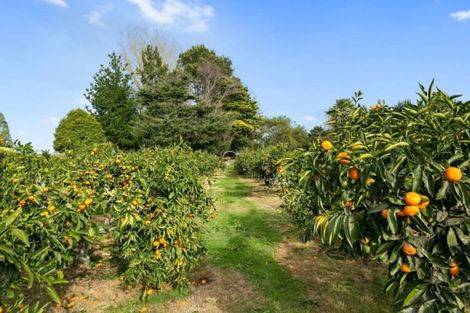 Photo of property in 174 Mystery Creek Road, Ohaupo, 3881