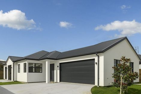 Photo of property in 49c Western Avenue, Omokoroa, 3172