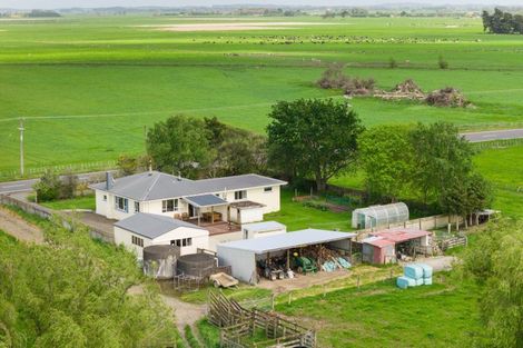 Photo of property in 1331 Rongotea Road, Kairanga, Palmerston North, 4475