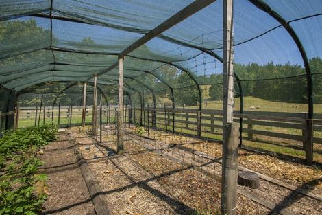 Photo of property in 909a Wharekopae Road, Ngatapa, Gisborne, 4072