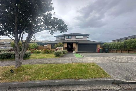 Photo of property in 89 Te Puia Drive, Aotea, Porirua, 5024