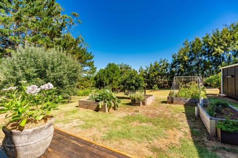 Photo of property in 379c Tara Road, Mangawhai, Kaiwaka, 0573