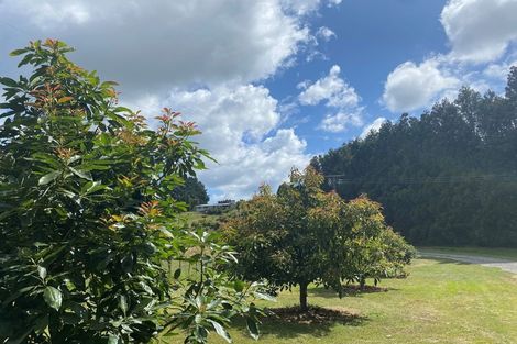 Photo of property in 236 Waipapa Block Road, Whakamarama, Tauranga, 3180