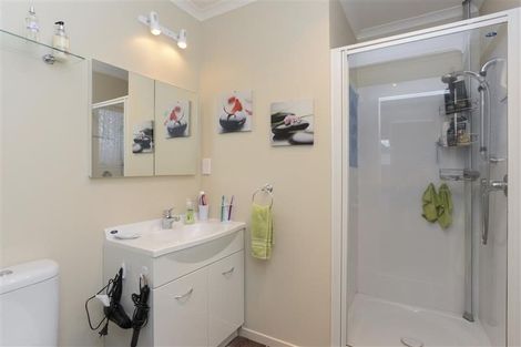Photo of property in 915a Dufferin Street, Akina, Hastings, 4122