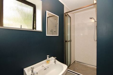 Photo of property in 43 Cheviot Street, Roxburgh, 9500