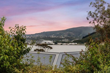 Photo of property in 297 Portobello Road, The Cove, Dunedin, 9077