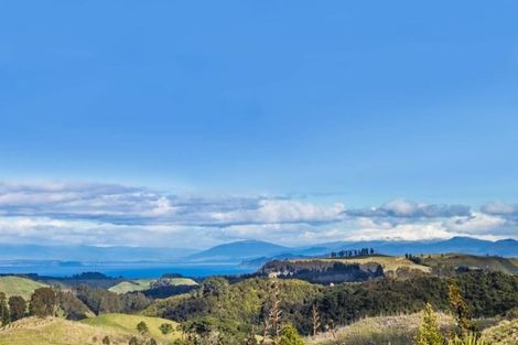 Photo of property in 445 Otake Road, Marotiri, Taupo, 3377