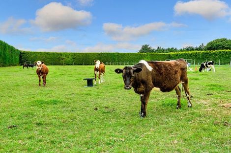 Photo of property in 537 Ellesmere Road, Lincoln, Christchurch, 7672