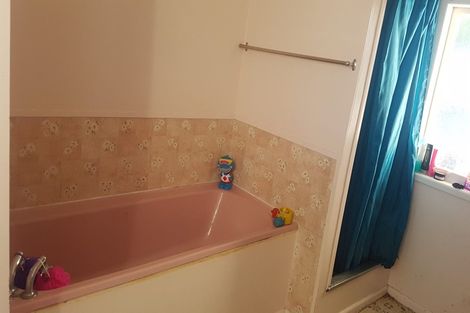 Photo of property in 117 Lumsden Road, Akina, Hastings, 4122