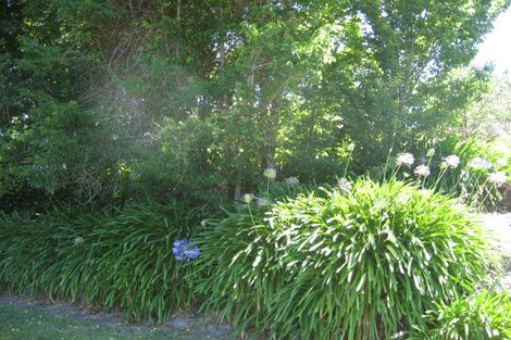 Photo of property in 34 Wellesley Street, Feilding, 4702