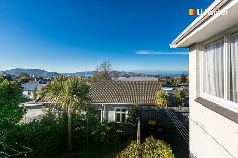Photo of property in 49b English Avenue, Mornington, Dunedin, 9011