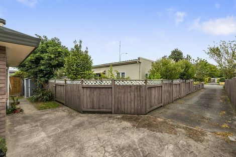 Photo of property in 180a College Street, Awapuni, Palmerston North, 4412