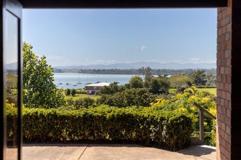 Photo of property in 17 Farnell Court, Omokoroa, 3114