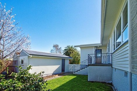 Photo of property in 33 Puriri Crescent, Lansdowne, Masterton, 5810