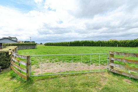 Photo of property in 31 Briarwood Road, Kelvin Grove, Palmerston North, 4470