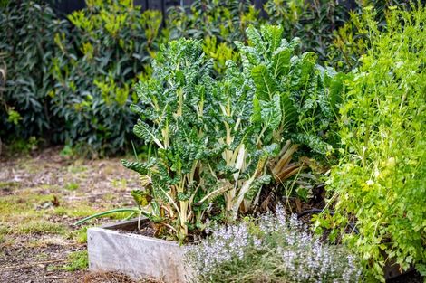 Photo of property in 5 Croall Crescent, St Andrews, Hamilton, 3200