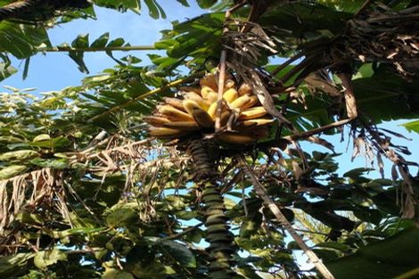 Photo of property in 109 Vinegar Hill Road, Kauri, Kamo, 0185