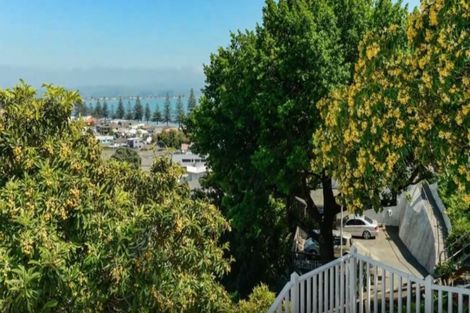 Photo of property in 5 Kowhai Road, Bluff Hill, Napier, 4110