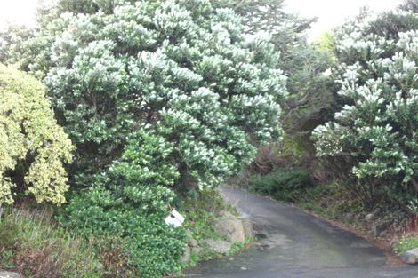 Photo of property in 21 Mckerrow Street, Shiel Hill, Dunedin, 9013