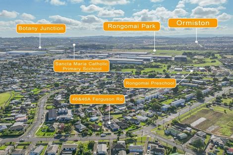 Photo of property in 46 Ferguson Road, Otara, Auckland, 2023