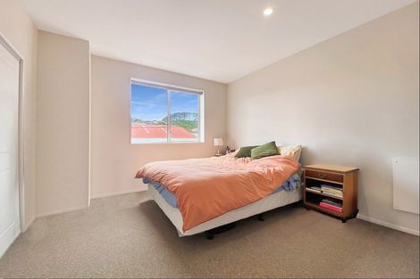 Photo of property in Aniva Terrace, 14 Ferguson Street, Newtown, Wellington, 6021