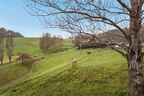 Photo of property in 7 Ella Lane, Green Island, Dunedin, 9018