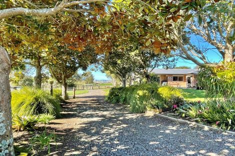 Photo of property in 499 Clark And Denize Road, Pukekawa, Tuakau, 2696