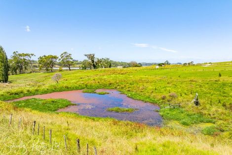 Photo of property in 35 Minnie Casey Rise, Matakohe, 0593