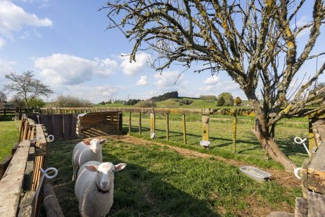 Photo of property in 317b Inglefield Street, Pirongia, Te Awamutu, 3876