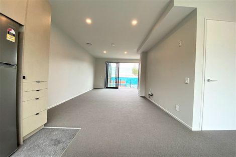 Photo of property in Aniva Terrace, 32 Ferguson Street, Newtown, Wellington, 6021