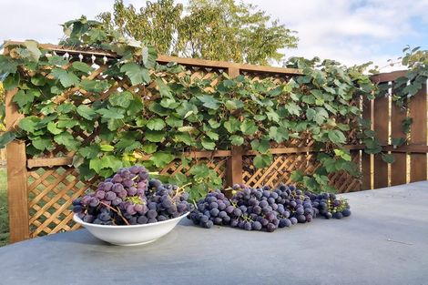 Photo of property in 18 Orchard Place, Cromwell, 9310