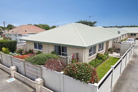 Photo of property in 61 Winchester Street, Levin, 5510